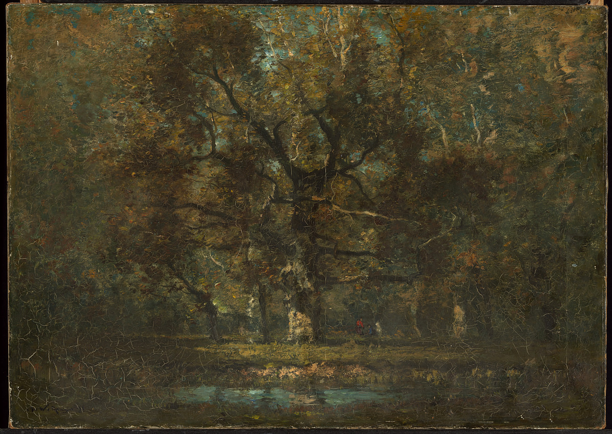 Oak Tree - Smithsonian American Art Museum, CC0